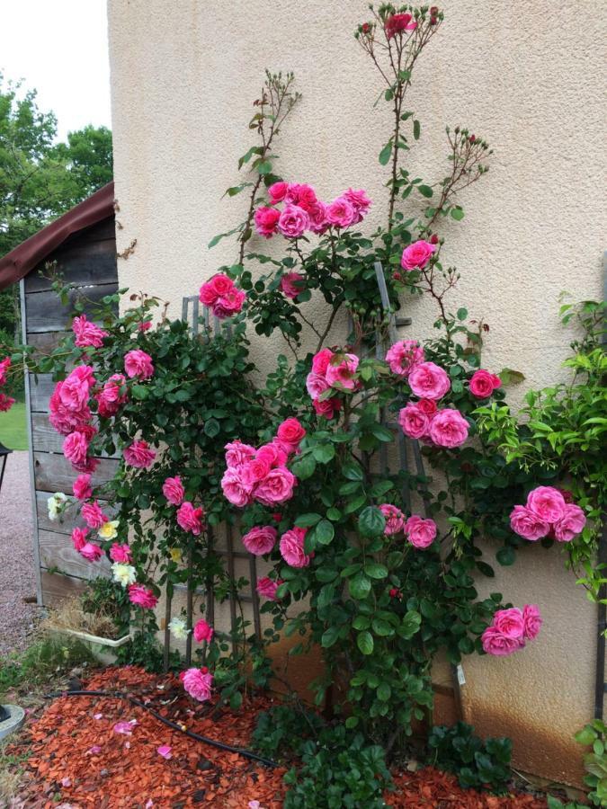 Sainte-Eulalie-en-Born La Mimona Bed & Breakfast エクステリア 写真