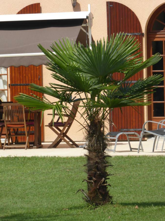Sainte-Eulalie-en-Born La Mimona Bed & Breakfast エクステリア 写真