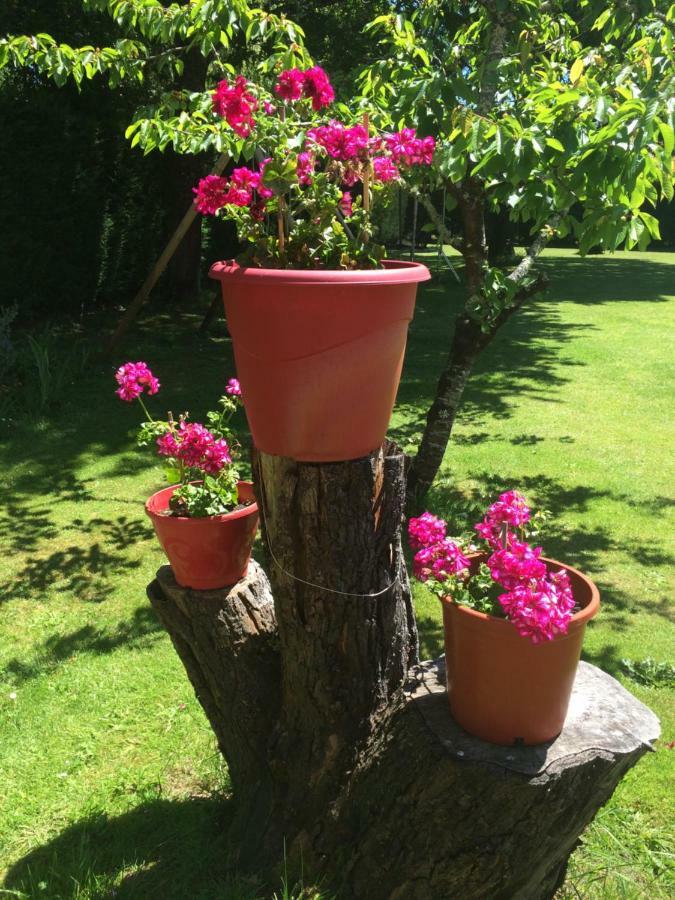 Sainte-Eulalie-en-Born La Mimona Bed & Breakfast エクステリア 写真